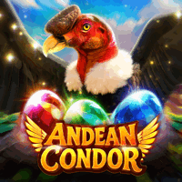 Andean Condor